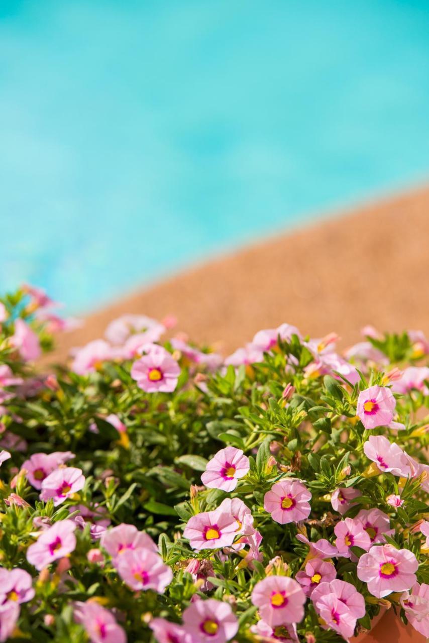 Neikos Mediterraneo Luxury Suites Chaniotis Exterior foto